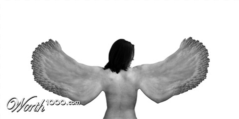 Photography by scotty2hotty