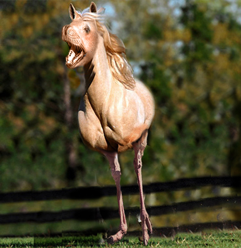 Photoshop Design by Galit109 for DesignCrowd (Community Contests) | Design #8961335