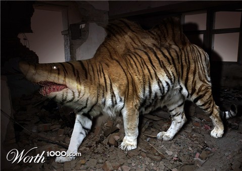 Photoshop Design by slegyras