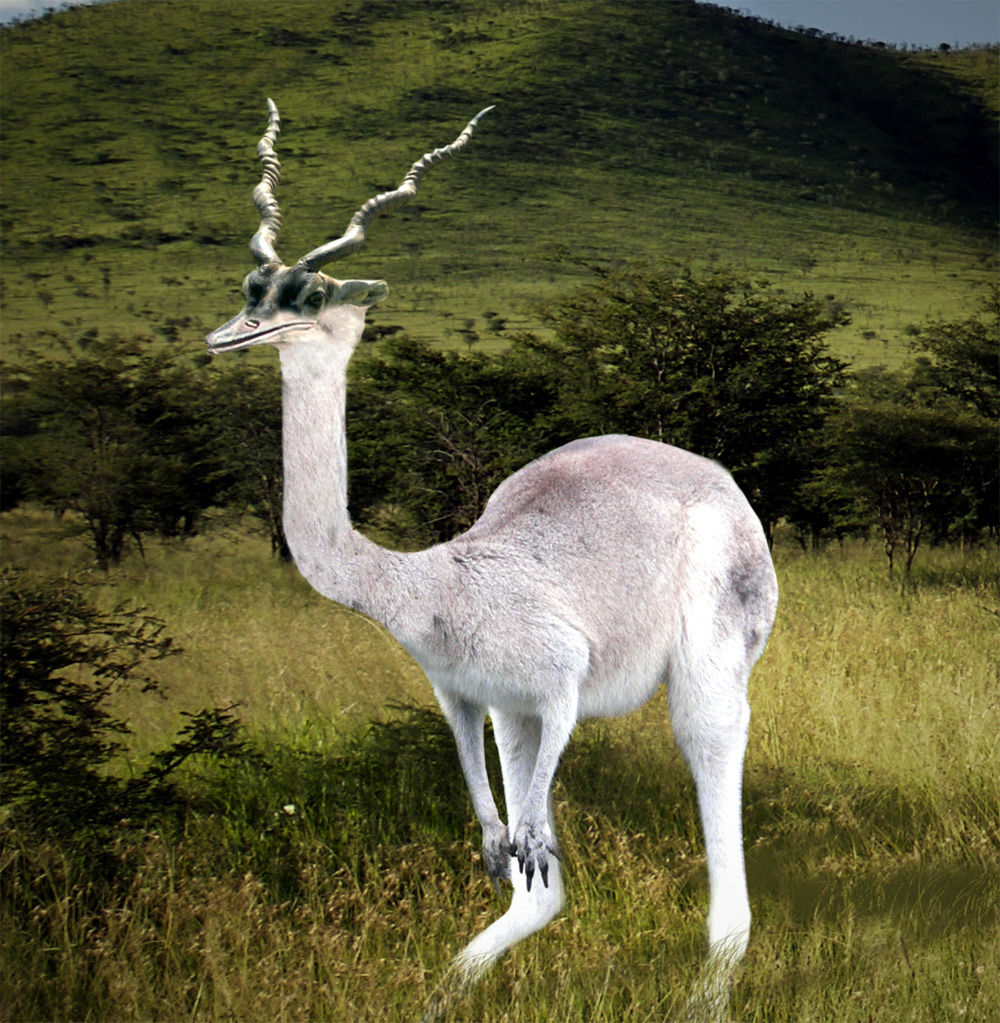 Design Photoshop par vlvette pour DesignCrowd (Community Contests) | Design #8961331