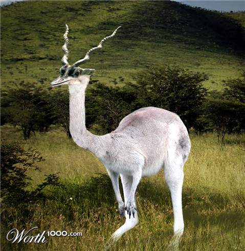 Photoshop Design by vlvette