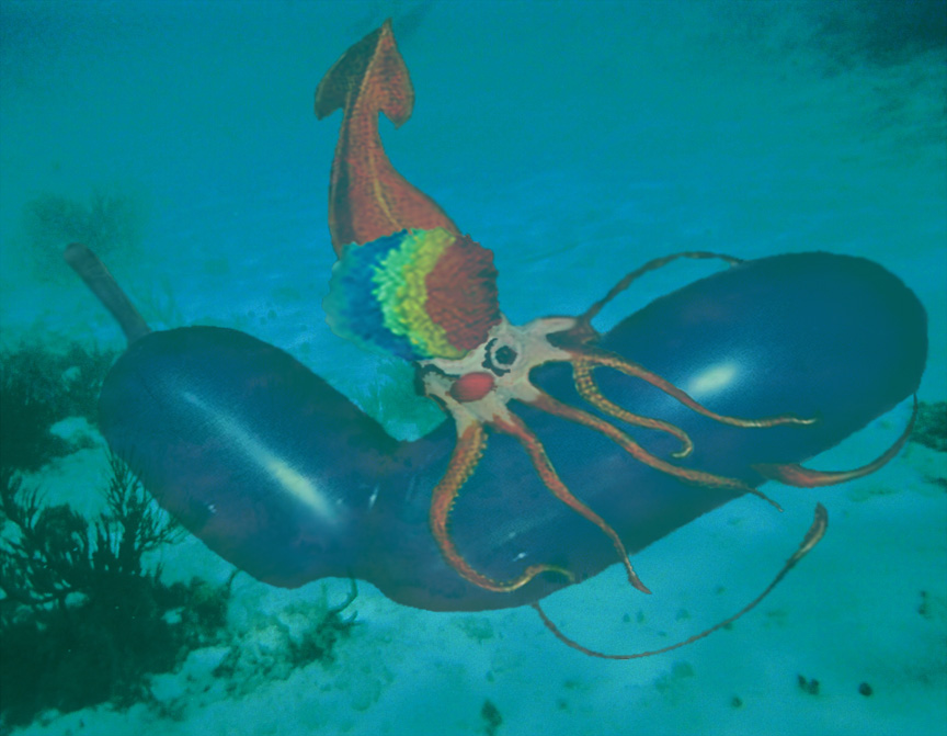 Design Photoshop par Acousticrat pour DesignCrowd (Community Contests) | Design #8960588