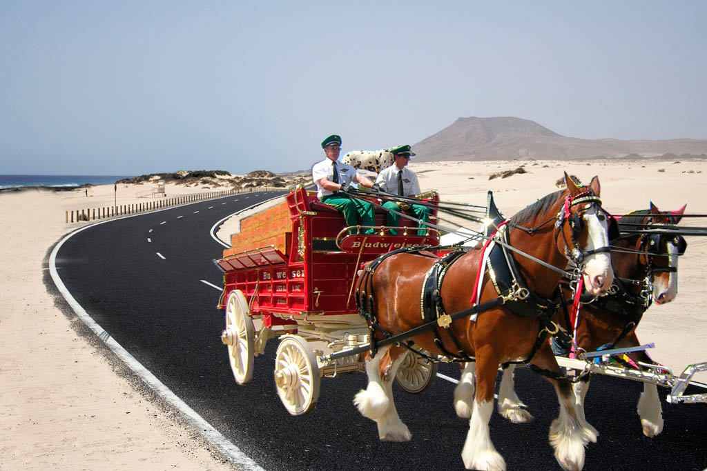 Photoshop Design by Aska Dsign for DesignCrowd (Community Contests) | Design #8960530