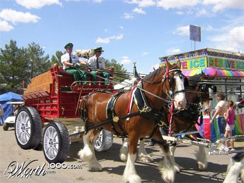 Photoshop Design by MianV