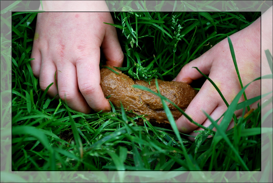 Photography by Andromeda5000 for DesignCrowd (Community Contests) | Design #8954607