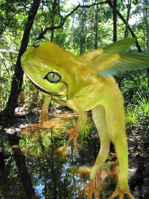 Photoshop Design by moo1cow2 for DesignCrowd (Community Contests) | Design #8961337