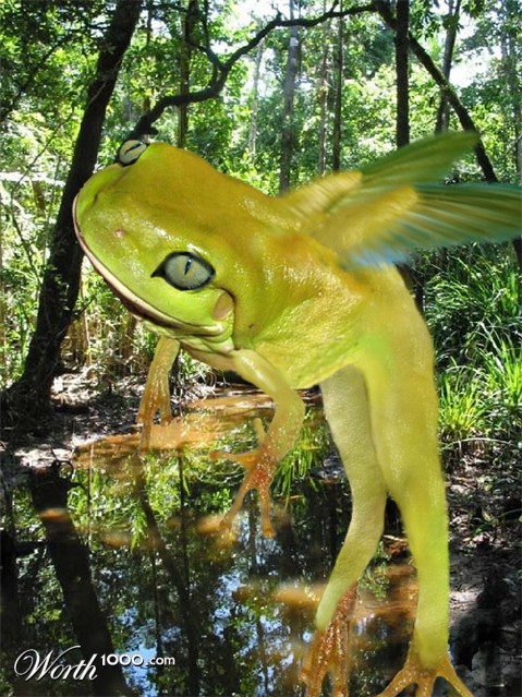 Photoshop Design by moo1cow2