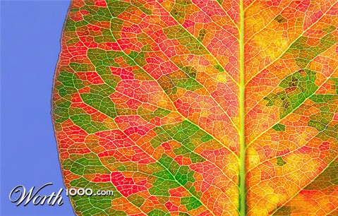 Photography by amirbse