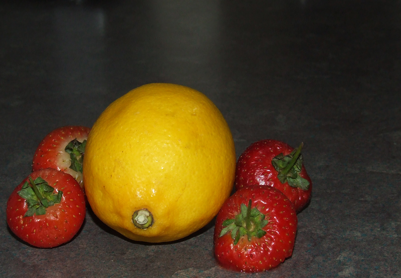 Photography by snofflewaffle for DesignCrowd (Community Contests) | Design #8952978