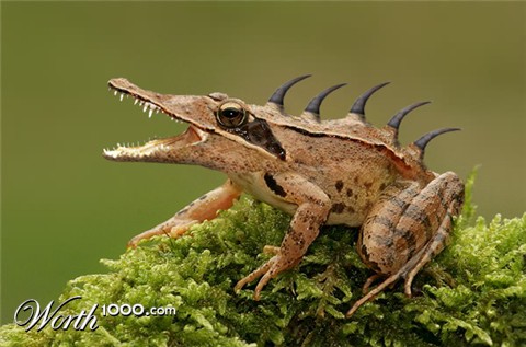 Photoshop Design by alesiphoto