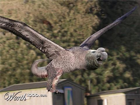 Photoshop Design by banoncom