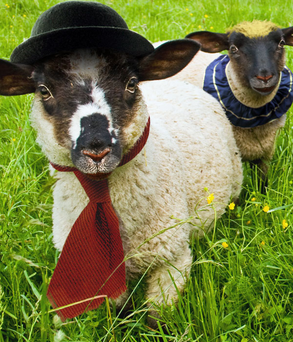 Photoshop Design by Geekatrix for DesignCrowd (Community Contests) | Design #8960645