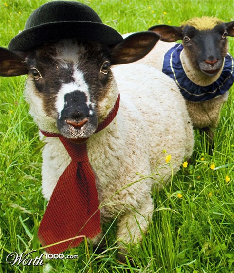 Photoshop Design by Geekatrix