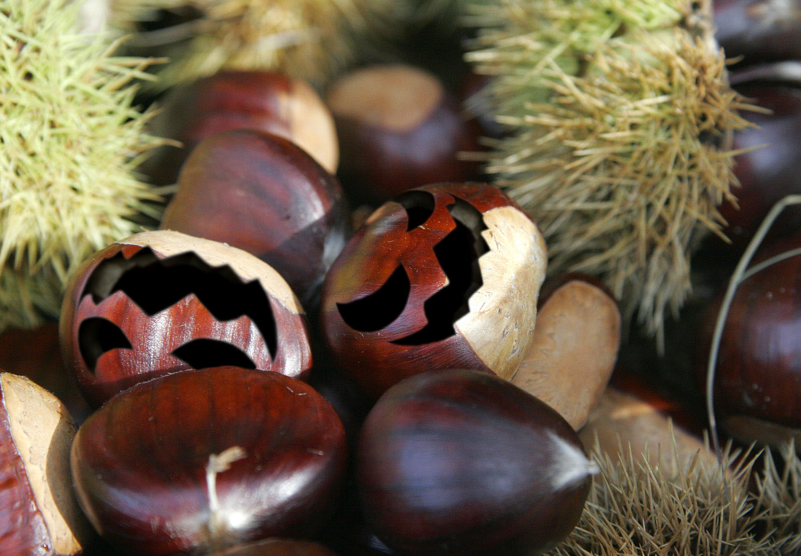 Photoshop Design by TheMass for DesignCrowd (Community Contests) | Design #8956144