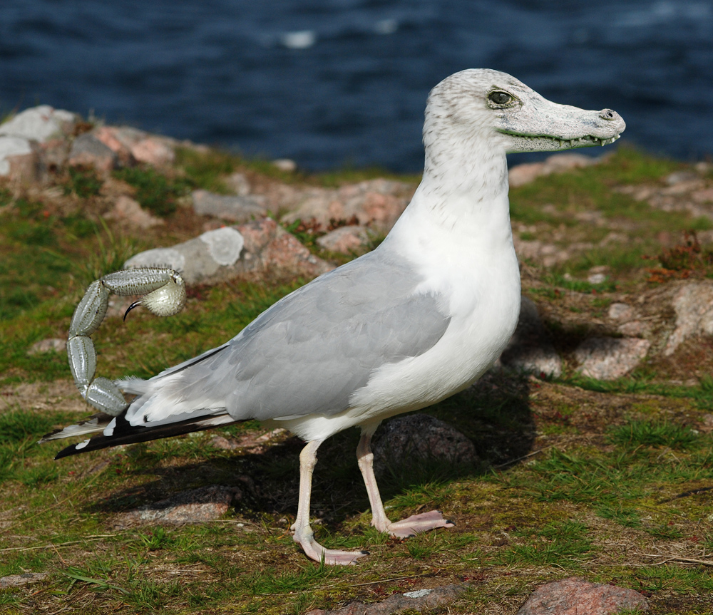 Diseño de Photoshop por gear01d para DesignCrowd (Community Contests) | Diseño #8961462