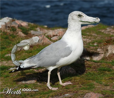 Photoshop Design by gear01d