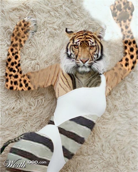 Photoshop Design by bobbledoggy1