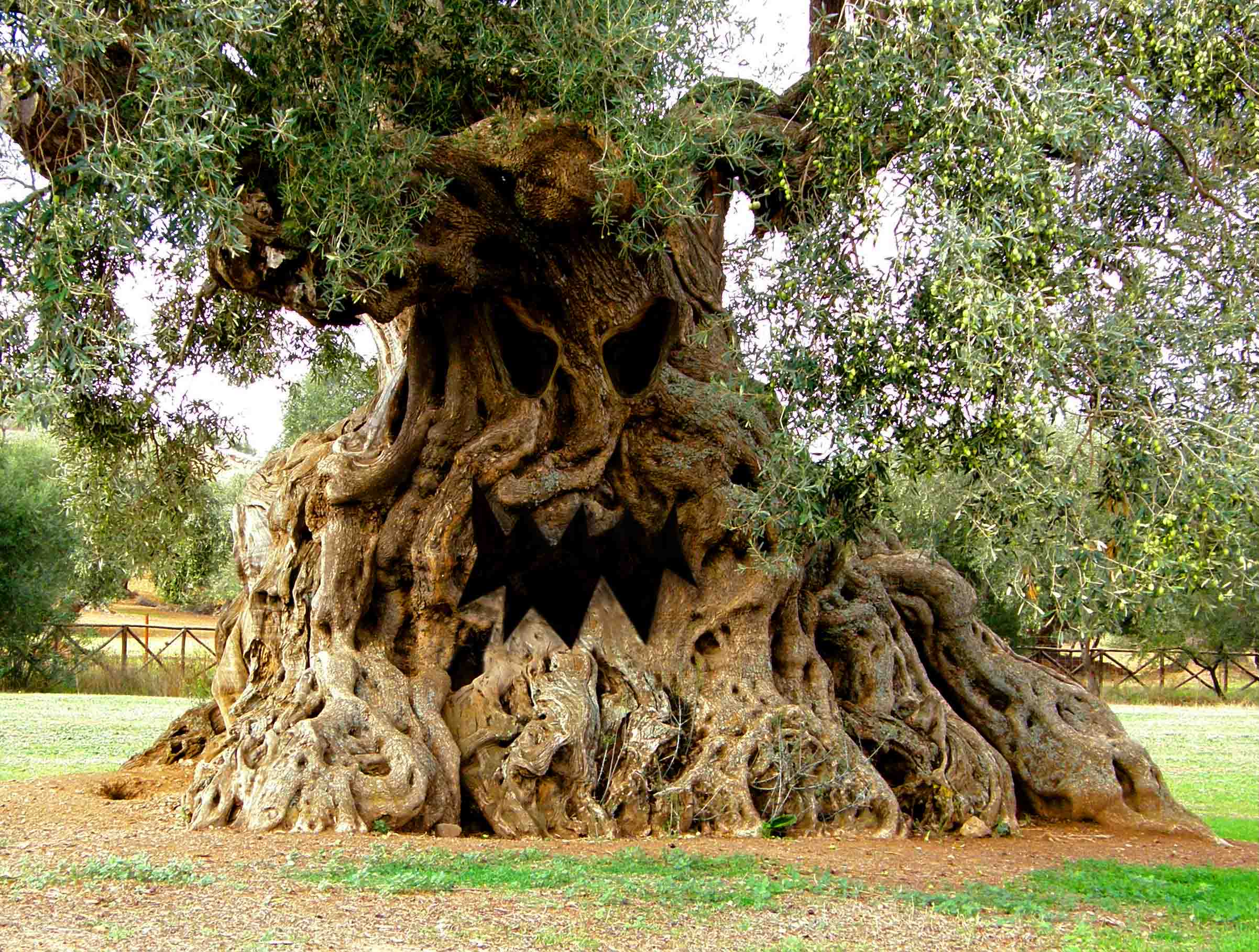 Photoshop-Design von Dave0585 für DesignCrowd (Community Contests) | Design #8956182