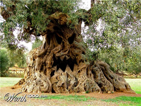 Photoshop Design by Dave0585