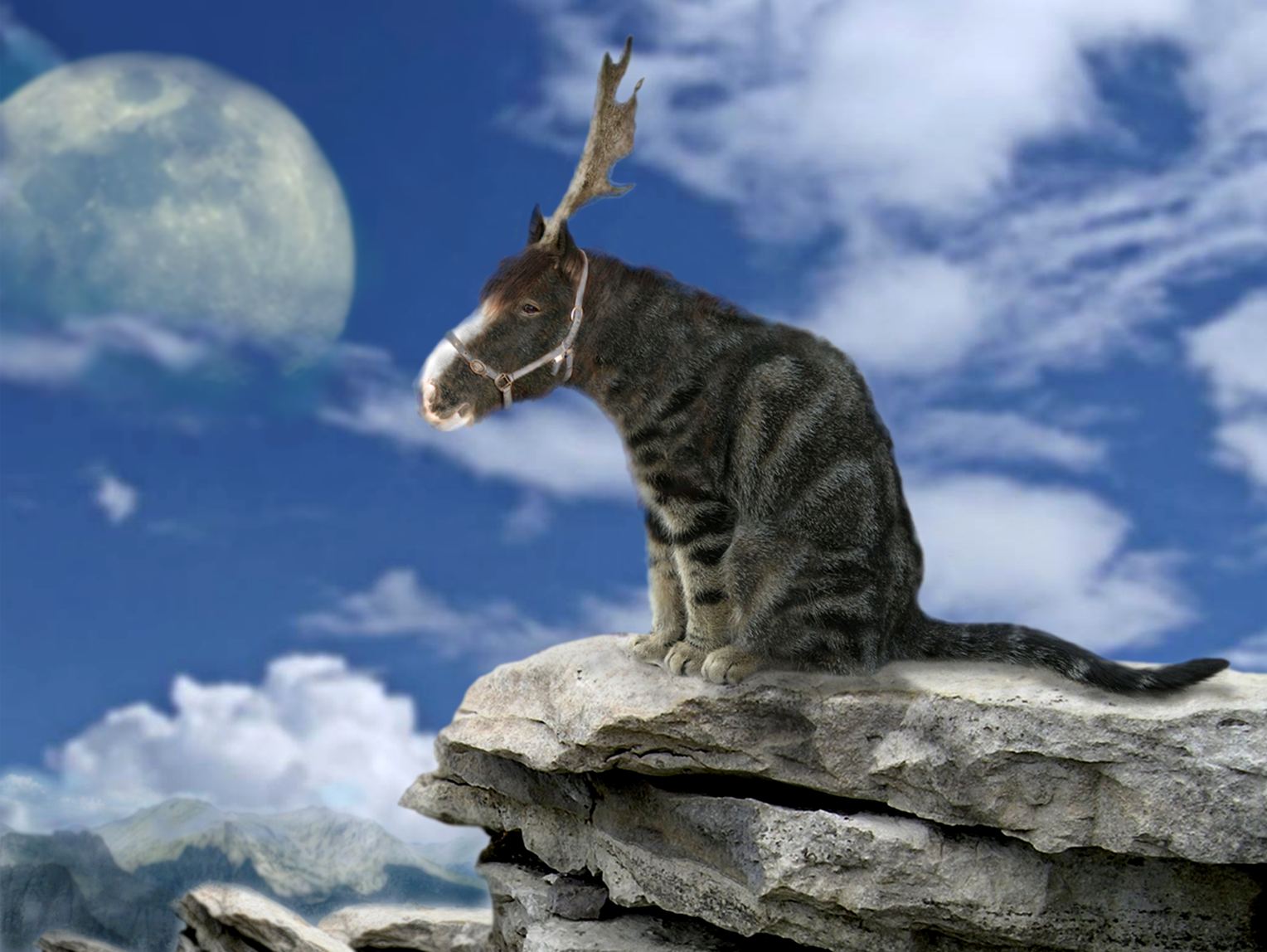 Diseño de Photoshop por timothyansell para DesignCrowd (Community Contests) | Diseño #8961438