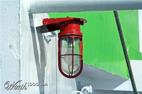 Photography by charizz