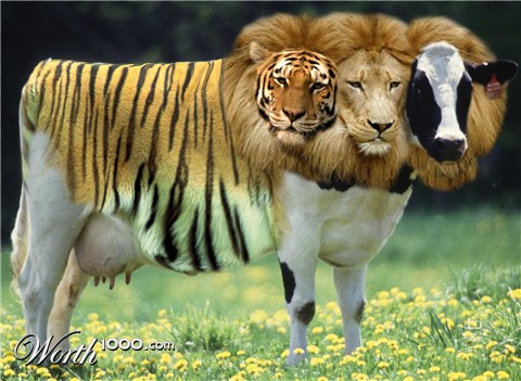 Photoshop Design by comanar