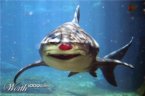 Photoshop Design by kempony