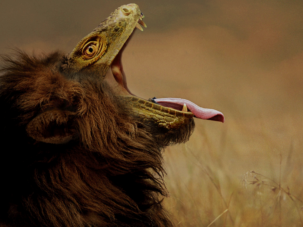 Photoshop Design by riddle for DesignCrowd (Community Contests) | Design #8961456