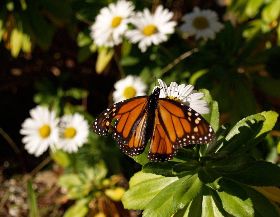 Photography by surfordream for DesignCrowd (Community Contests) | Design #8959786