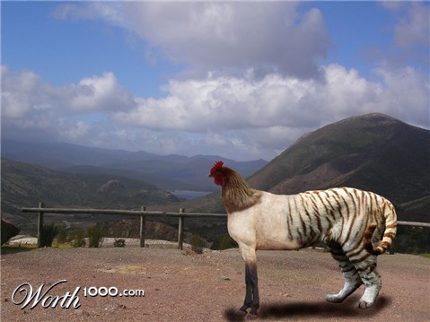 Photoshop Design by broko619