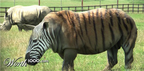 Photoshop Design by kempony