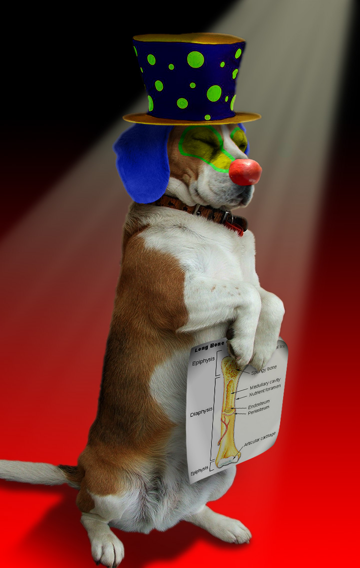 Design Photoshop par lbalazscs pour DesignCrowd (Community Contests) | Design #8960649