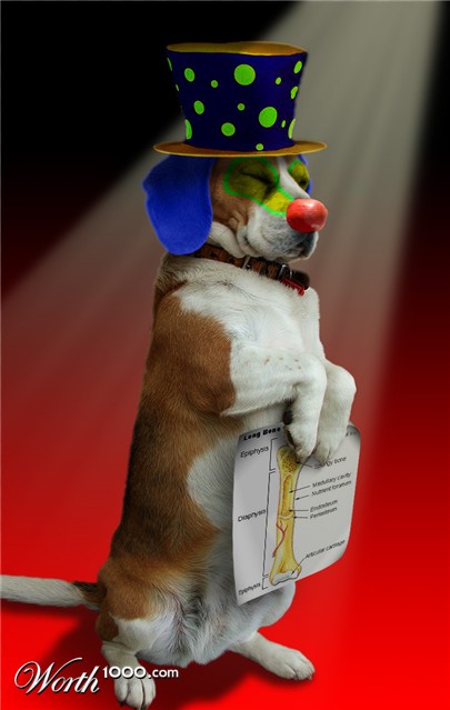 Photoshop Design by lbalazscs