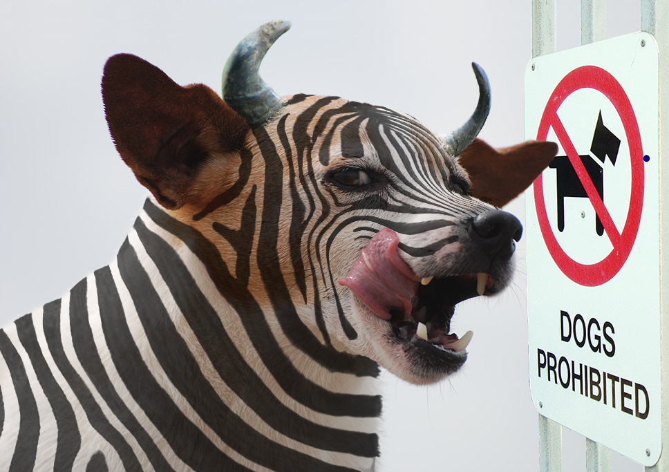 Design Photoshop par lbalazscs pour DesignCrowd (Community Contests) | Design #8961412