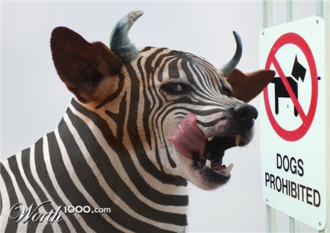 Photoshop Design by lbalazscs