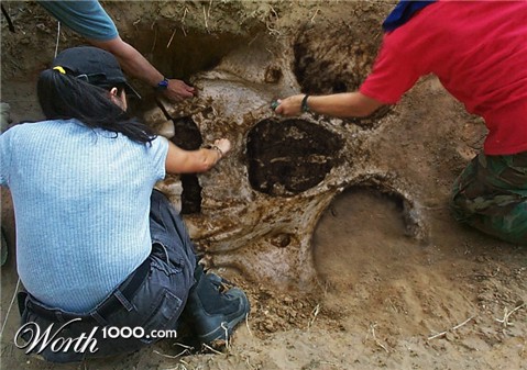 Photoshop Design by YearoftheDragon