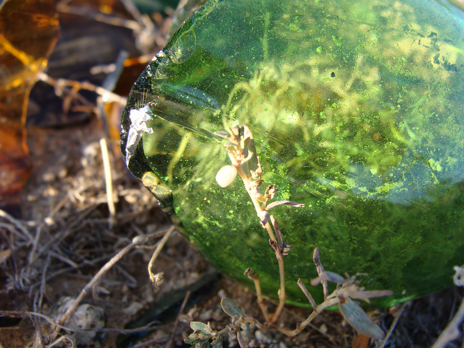 Fotografie von dimwit91 für DesignCrowd (Community Contests) | Design #8959830