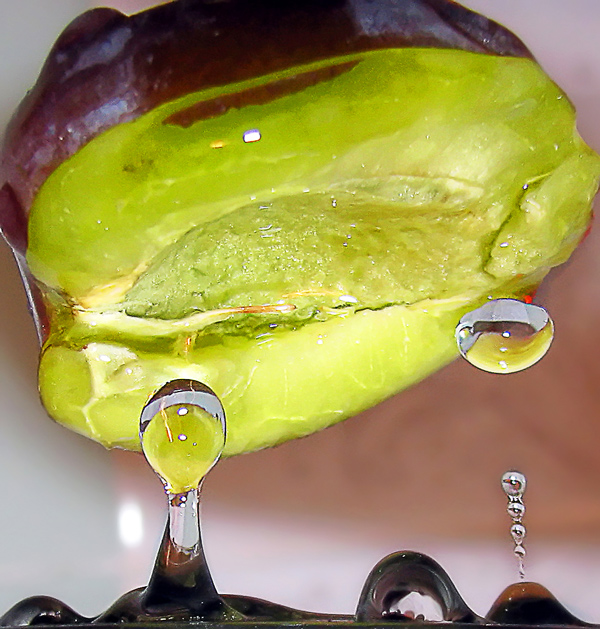 Photography by Mikeleus for DesignCrowd (Community Contests) | Design #8952925