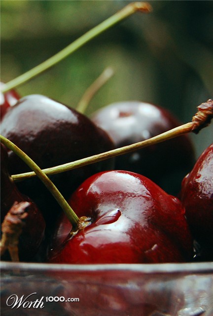 Photography by marymagdalyne