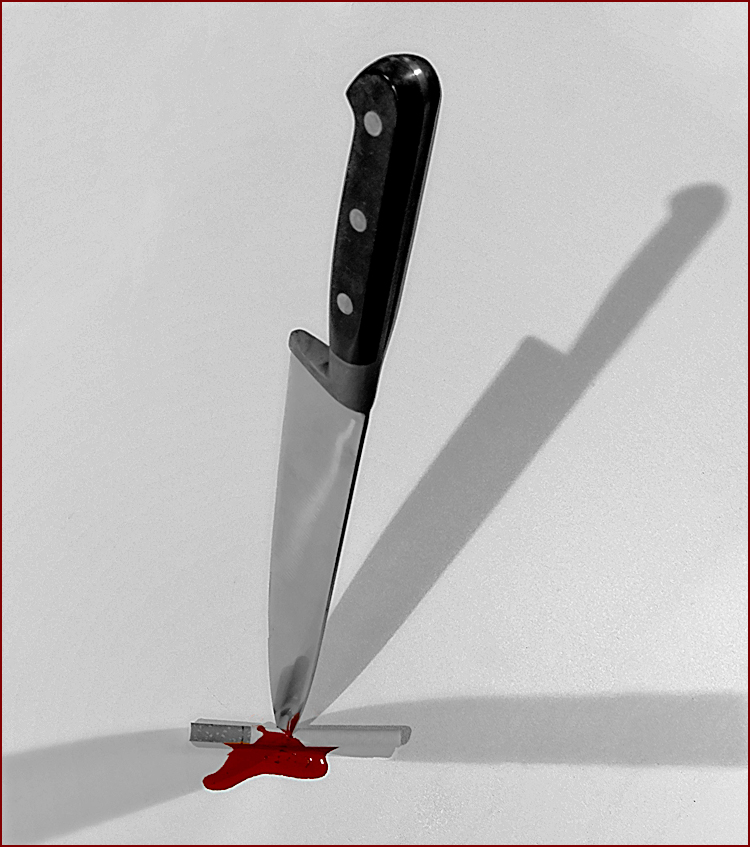 Photographie par egonlinden pour DesignCrowd (Community Contests) | Design #8954677