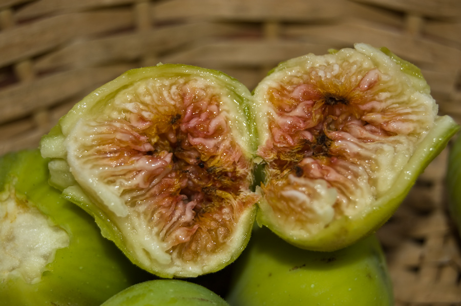 Photography by antobanto for DesignCrowd (Community Contests) | Design #8953022