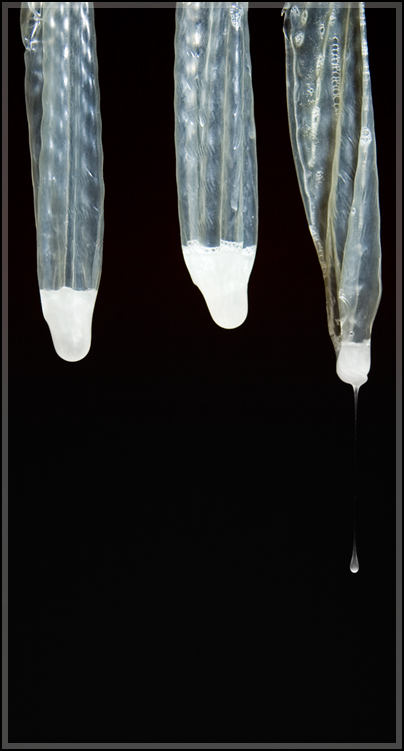 Photography by tincanblower for DesignCrowd (Community Contests) | Design #8954664