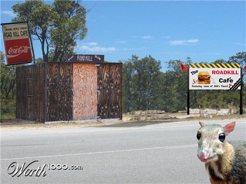 Photoshop Design by JANIELLE