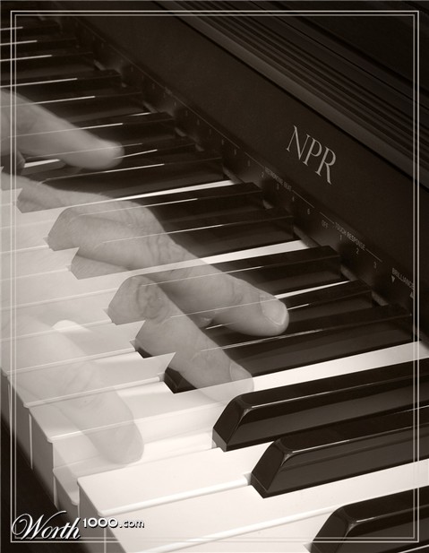Photography by capriccio