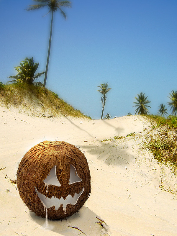 Photoshop-Design von DjangoLizell für DesignCrowd (Community Contests) | Design #8956333