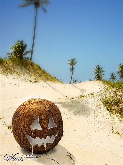 Photoshop Design by DjangoLizell