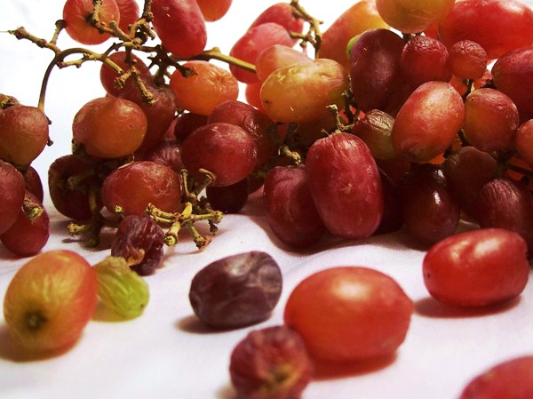 Photography by kanucme for DesignCrowd (Community Contests) | Design #8953053