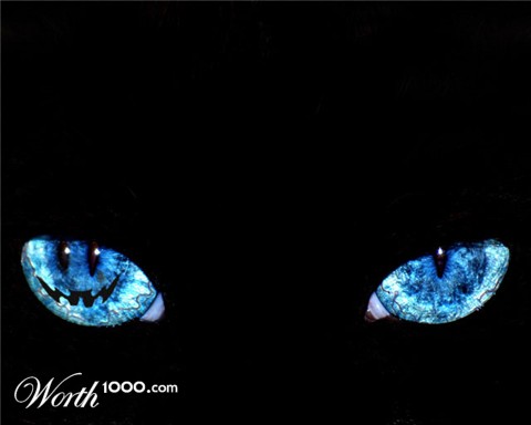Photoshop Design by forum998