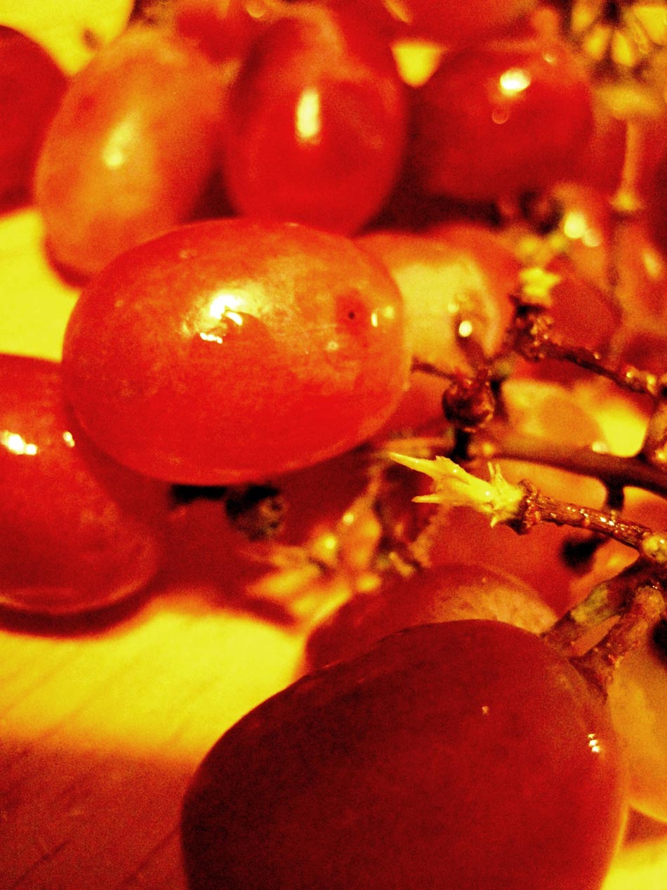 Fotografie von dimwit91 für DesignCrowd (Community Contests) | Design #8953031