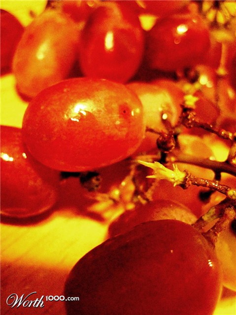 Photography by dimwit91